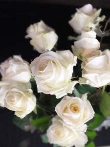 Bukiet Białych Róż