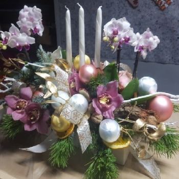 Pre-Christmas compositions